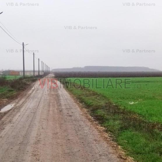 Dragomiresti-Vale - Strada Ulmului, teren intravilan, suprafata 3.750 mp