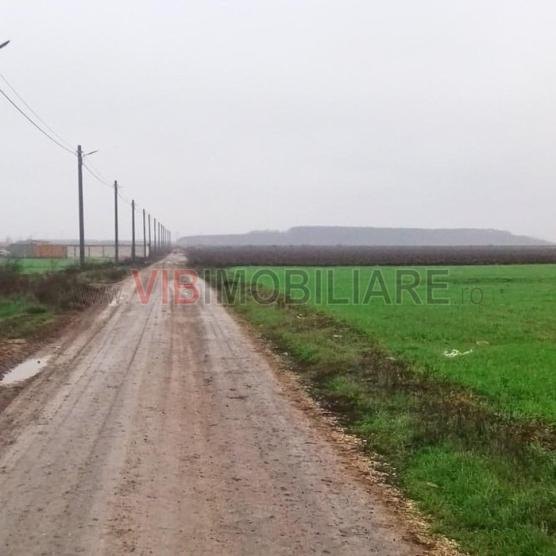 Dragomiresti-Vale - Strada Ulmului, teren intravilan, suprafata 3.750 mp