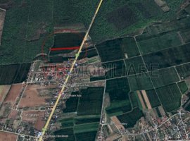 Ciolpani - Dn1 Stradal, teren intravilan, suprafata 4.676 mp