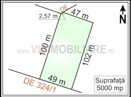 Mogosoaia - Ciupercarie, teren extravilan, suprafata 5.000 mp