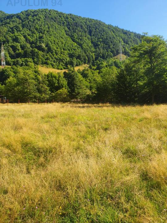 Teren Județul Vâlcea - Brezoi, Valea lui Stan