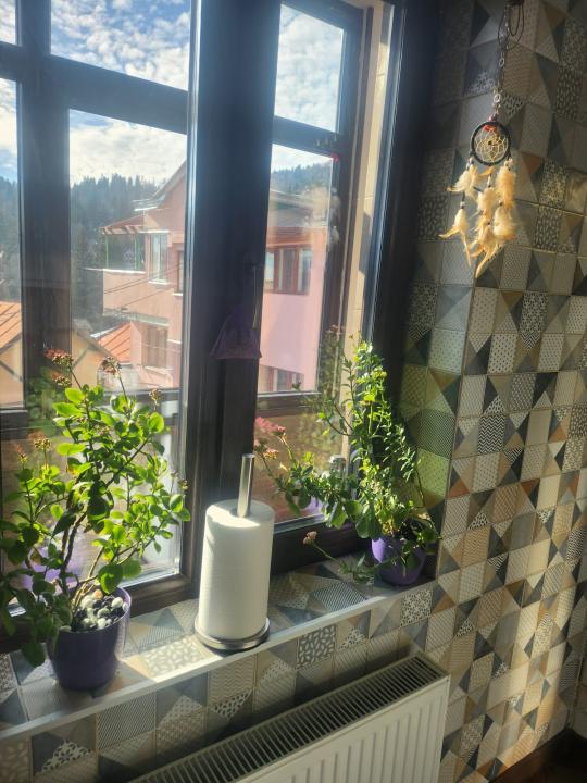 Apartament cu 3 camere de vanzare in Sinaia - Zona Furnica