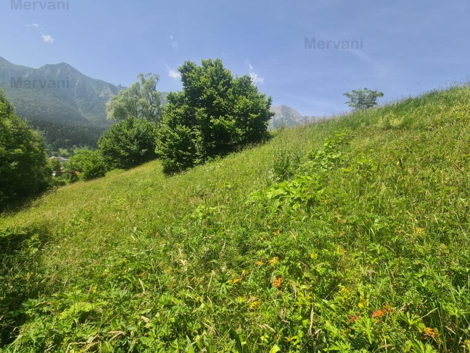 Teren de vânzare în Bușteni - Zona Zamora