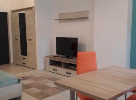 Apartament 1 camera Tatarasi