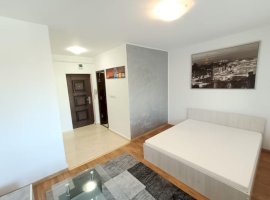 Apartament 1 camera etajul 1 Valea Adanca