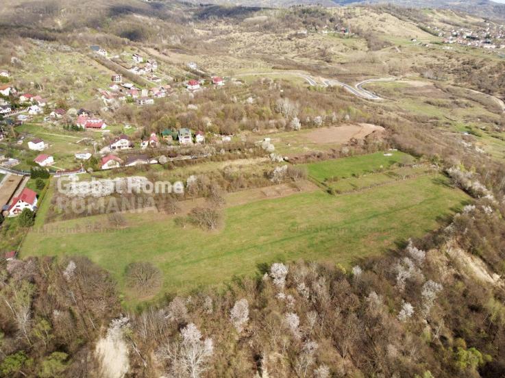 Mountain Plateau - 23.345 SQM - Exclusive Estate | Jud Prahova - Valea Prahovei