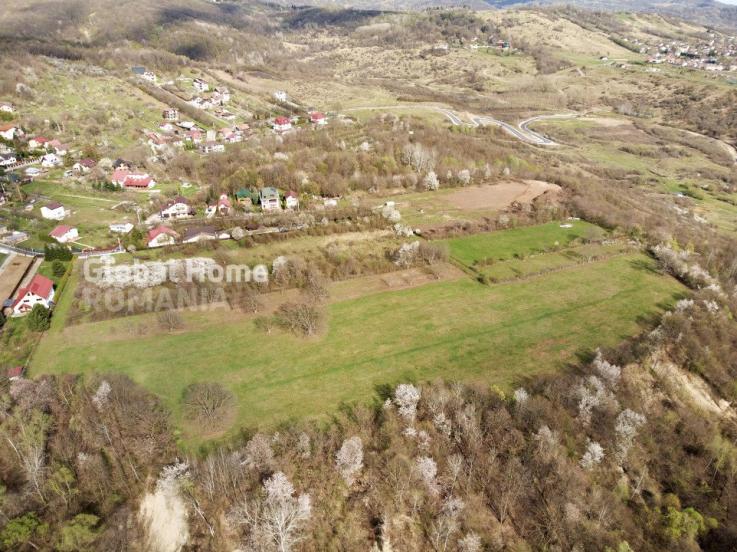 Mountain Plateau - 23.345 SQM - Exclusive Estate | Jud Prahova - Valea Prahovei