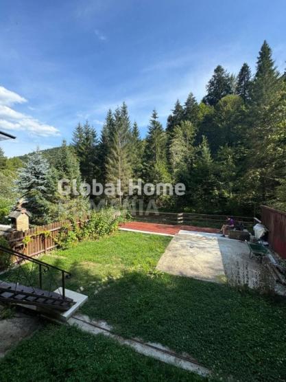 Sinaia - Prahova Valley | Mountain Villa - River Terrace | Carpathian Mountains 