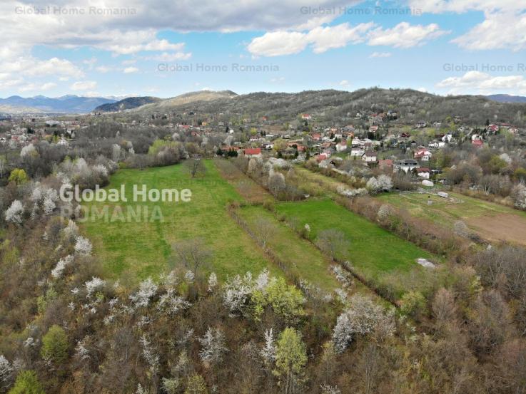 Mountain Plateau - 23.345 SQM - Exclusive Estate | Jud Prahova - Valea Prahovei