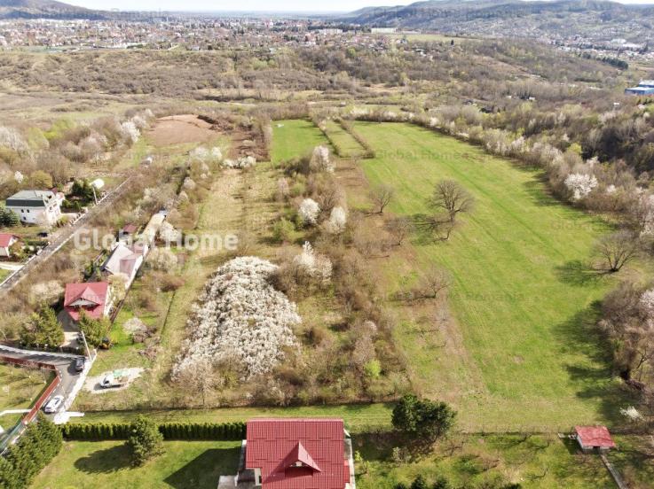 Mountain Plateau - 23.345 SQM - Exclusive Estate | Jud Prahova - Valea Prahovei