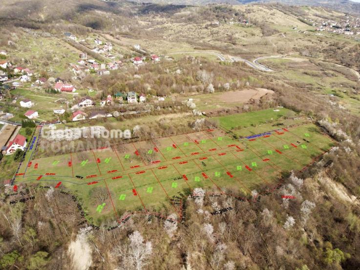 Mountain Plateau - 23.345 SQM - Exclusive Estate | Jud Prahova - Valea Prahovei