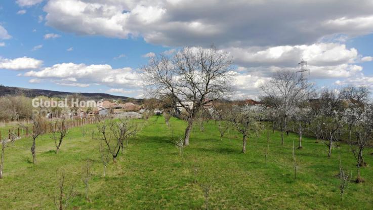 4898 MP Teren Intravilan | Prahova - Cornu De Jos | Toate Utilitatile Prezente