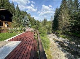 Sinaia - Prahova Valley | Mountain Villa - River Terrace | Carpathian Mountains 