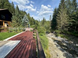 Sinaia - Prahova Valley | Mountain Villa - River Terrace | Carpathian Mountains 