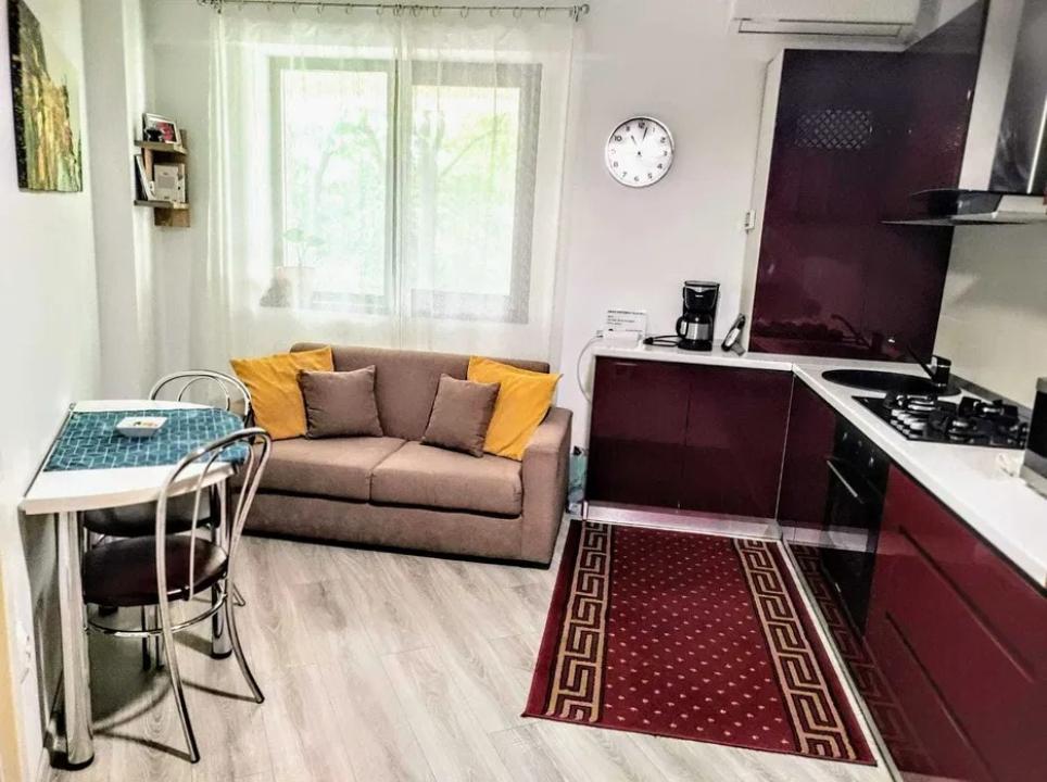 Apartament Ultracentral Palas Mall 