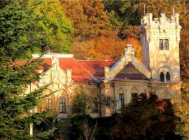 Castel Zichy de vanzare in Oradea, Bihor