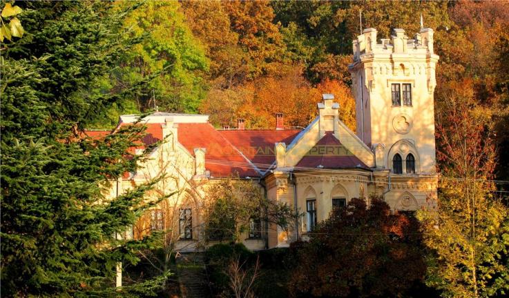 Castel Zichy de vanzare in Oradea, Bihor