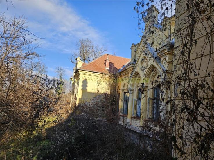 Castel Zichy de vanzare in Oradea, Bihor