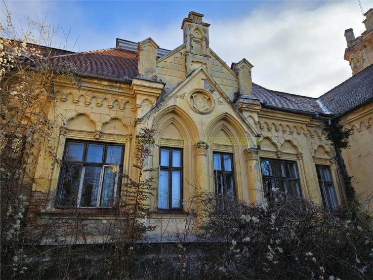 Castel Zichy de vanzare in Oradea, Bihor