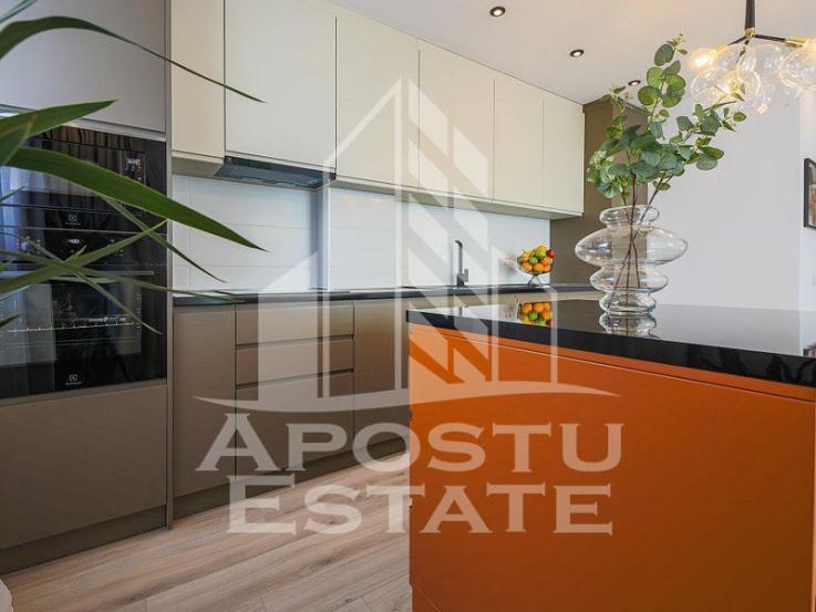 Apartament de lux 2 camere open space Take Ionescu (ISHO)