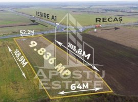 Teren extravilan la 1 minut de ieșirea pe autostrada A1