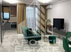 Apartament de lux 2 camere open space Take Ionescu (ISHO)