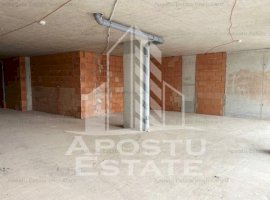 Spatiu comercial zona Take Ionescu