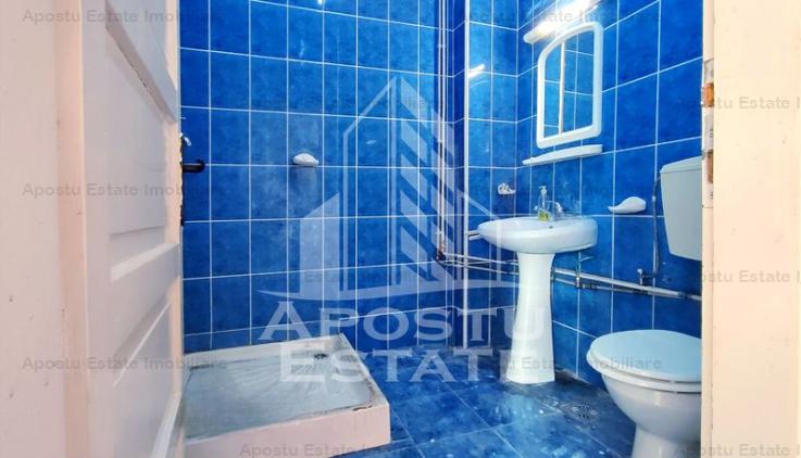 Spatiu comercial,  Zona Intim Arad