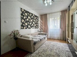 Apartament cu o camera centrala proprie etajul 2 Blascovici