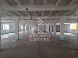 Hala depozitare,productie,birouri,2000mp, zona sud-vest