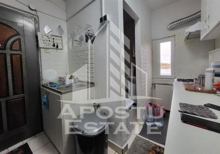 Apartament cu 1 camera, etaj intermediar, langa Iulius Mall