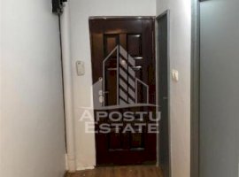 APARTAMENT 2 CAMERE LIPOVEI THALIA