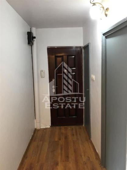 APARTAMENT 2 CAMERE LIPOVEI THALIA