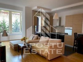 Apartament doua camere zona Take Ionescu