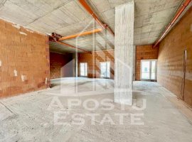 Spatiu comercial, 149 mp utili, zona Take Ionescu