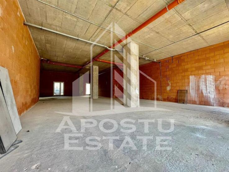 Spatiu comercial, 149 mp utili, zona Take Ionescu