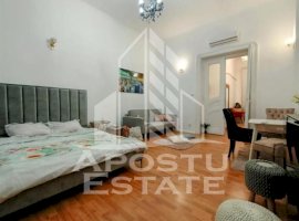 Apartament cu 1 camera, confort sporit, situat in Paiata Victoriei