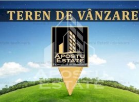 Teren intravilan 4250mp Ghiroda Comision 0%