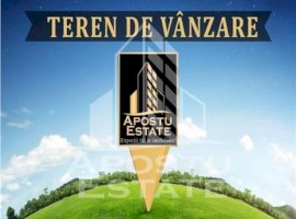 Teren intravilan 1500mp in Remetea Mare