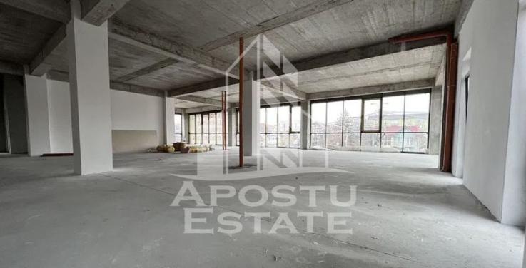 Spatiu comercial 340 mp utili, SAD, etaj1, parcari, Torontalului.