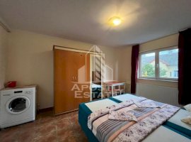 Apartament cu 1 camera, complet renovat in zona Iosefin