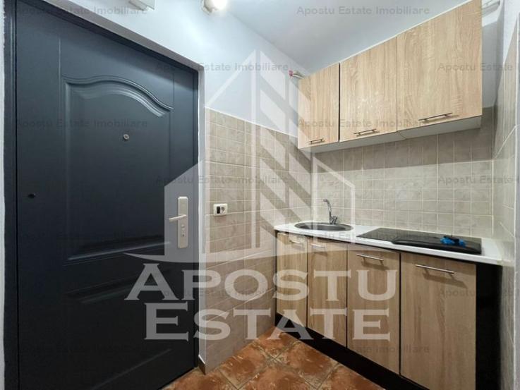 Apartament cu 1 camera, complet renovat in zona Iosefin