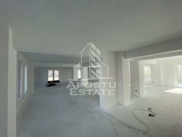 Spatiu comercial 238 mp, zona Lipovei , artera circulata