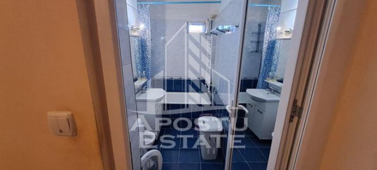 Apartament cu 1 camera, centrala proprie, zona Dambovita