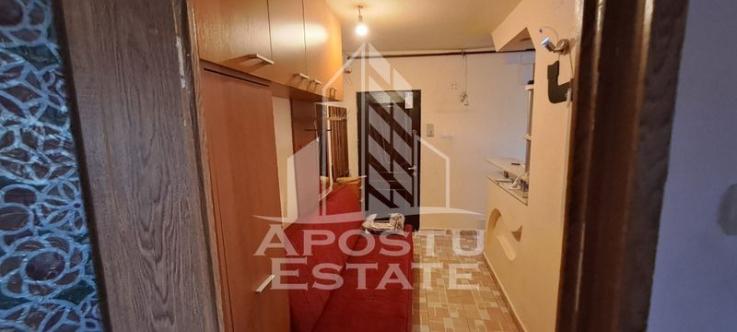 Apartament cu 1 camera, centrala proprie, zona Dambovita