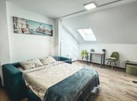 Apartament cu 1 camera, centrala proprie, zona Bogdanestilor