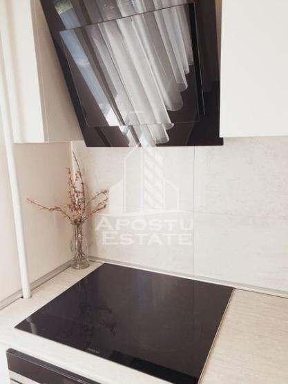 Apartament proaspat renovat 3 camere, Take Ionescu/ Medicina