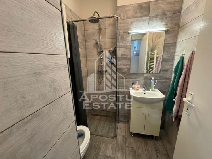 Apartament la curte, zona Simion Barnutiu/Take Ionescu