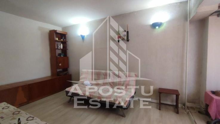 Apartament cu o camera, Pet Friendly, Zona Fabric