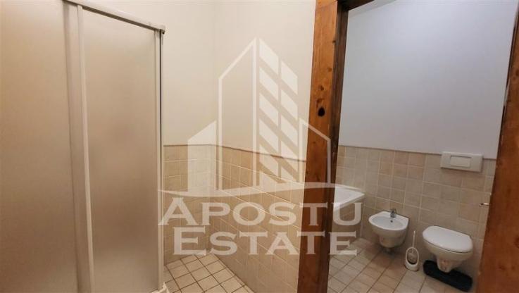 Apartament cu 4 camere, SAD, Piata Victoriei, 180 mp